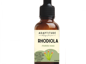 Rhodiola