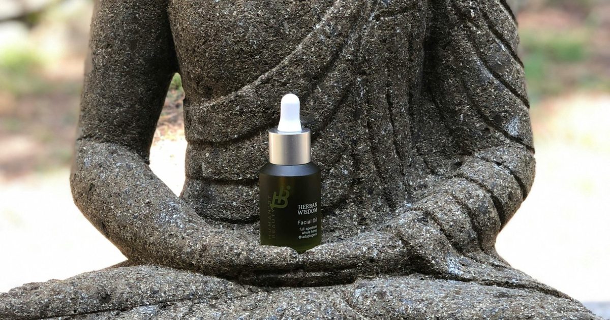 Plantes Adaptogènes : le guide complet pour comprendre et bien les utiliser