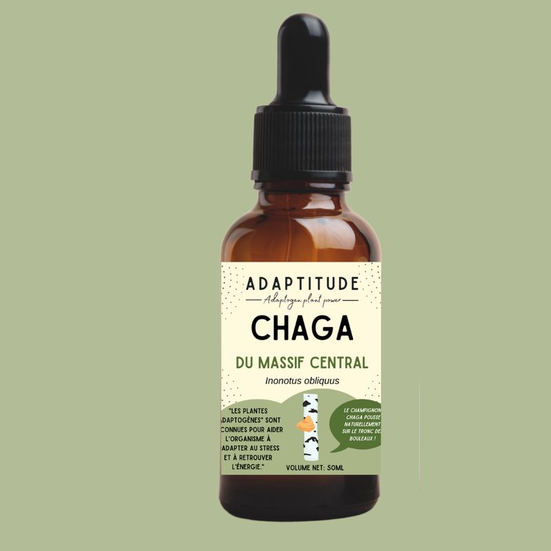 Extrait de Chaga Bio (50ml) - Tiboom