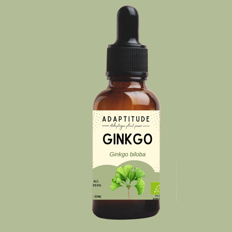Extrait de Ginkgo Bio (50ml) - Tiboom