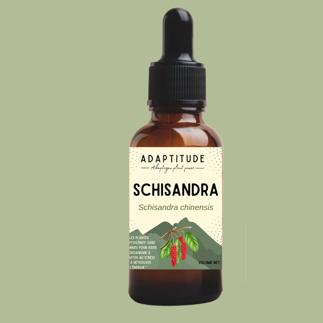 Extrait de Schisandra (50ml) - Tiboom